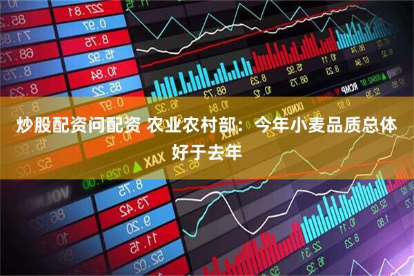 炒股配资问配资 农业农村部：今年小麦品质总体好于去年
