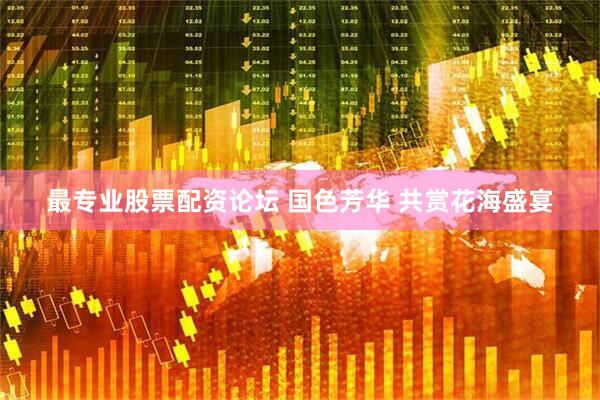 最专业股票配资论坛 国色芳华 共赏花海盛宴